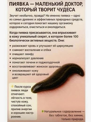 Избавьтесь от боли в суставах с помощью гирудотерапии