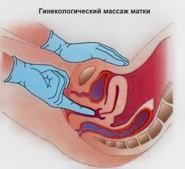 5 дней полного погружения: гинекологический массаж (теория+практика)
