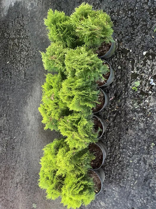 фото 6
