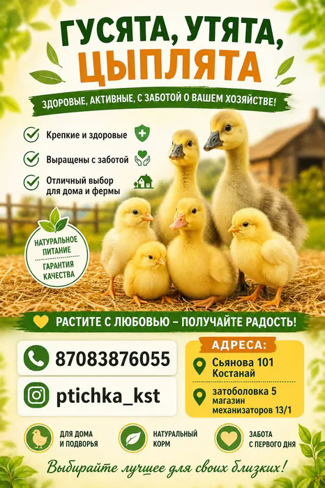 Бройлеры, продам бройлеров
