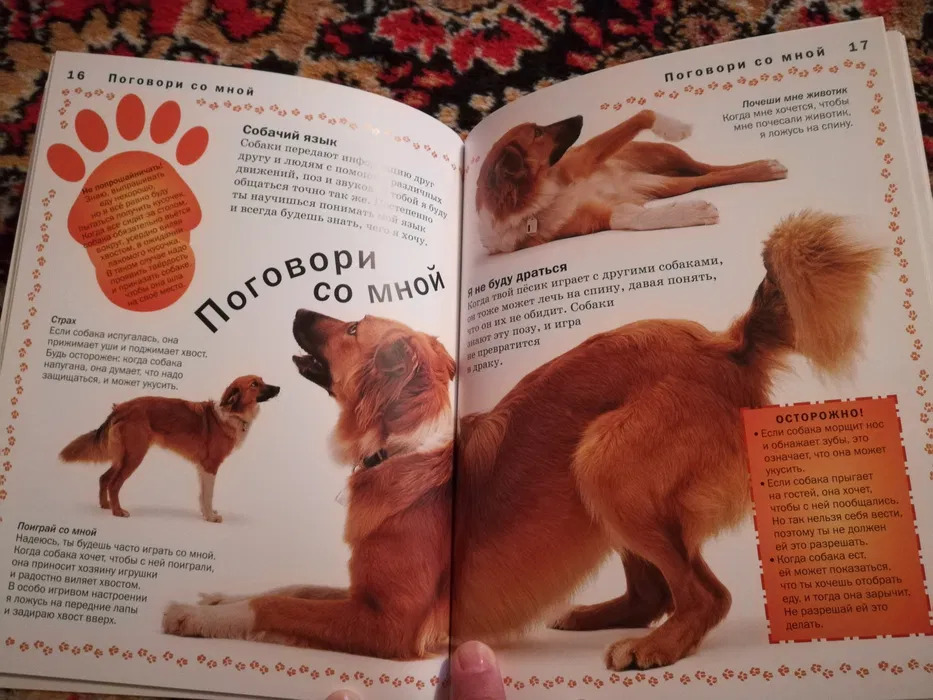 фото 4