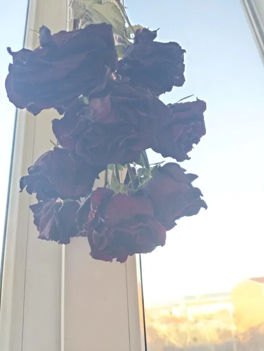фото 2